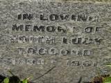 image of grave number 958743